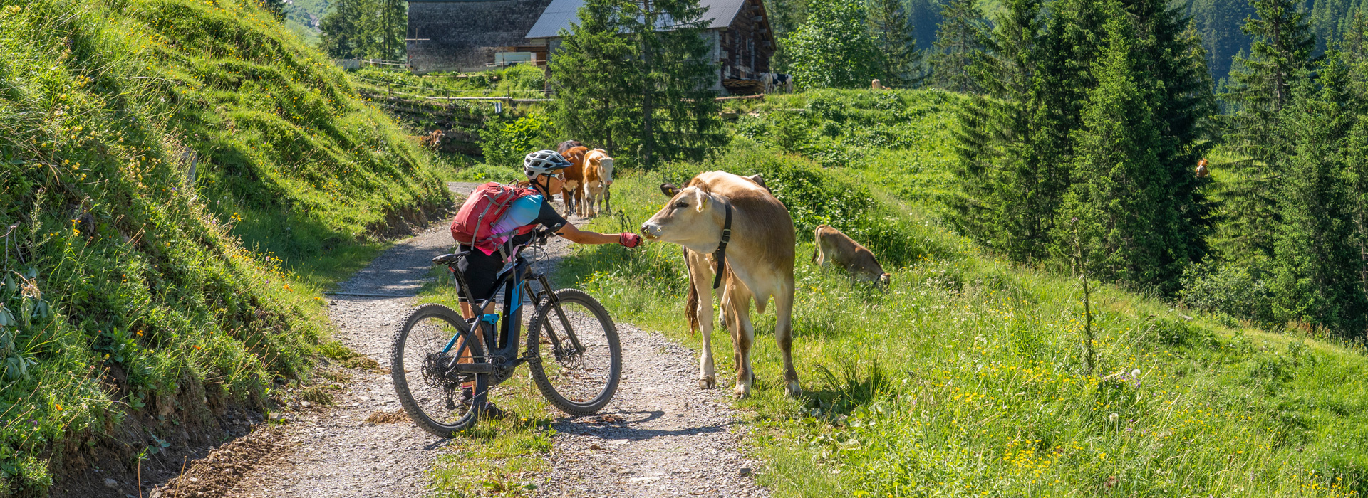 Mit dem E-Bike Österreich entdecken